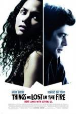 Watch Things We Lost in the Fire 9Movies