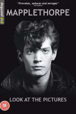 Watch Mapplethorpe: Look at the Pictures 9Movies