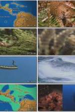 Watch National Geographic:  Worlds Deadliest Animals - North America 9Movies