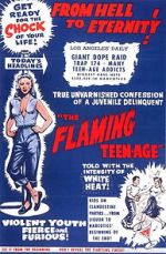 Watch The Flaming Teenage 9Movies