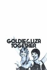 Watch Goldie and Liza Together 9Movies
