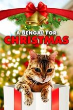 Watch A Bengal for Christmas 9Movies