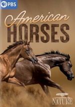 Watch American Horses 9Movies