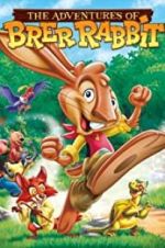 Watch The Adventures of Brer Rabbit 9Movies