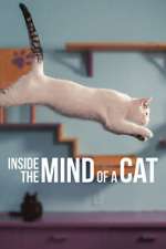 Watch Inside the Mind of a Cat 9Movies