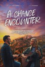 Watch A Chance Encounter 9Movies
