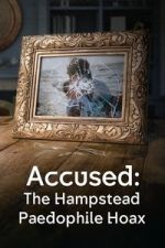 Watch Accused: The Hampstead Paedophile Hoax 9Movies