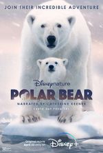 Watch Polar Bear 9Movies