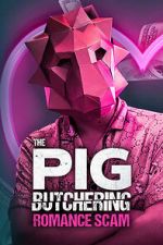 Watch The Pig Butchering Romance Scam 9Movies