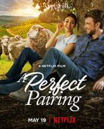 Watch A Perfect Pairing 9Movies