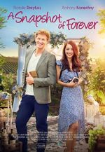 Watch A Snapshot of Forever 9Movies