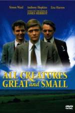 Watch All Creatures Great and Small 9Movies
