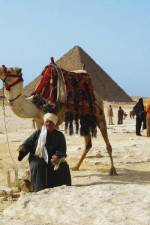 Watch From Pharaohs to Facebook Egypt Today 9Movies