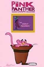 Watch The Scarlet Pinkernel 9Movies