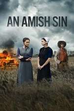 Watch An Amish Sin 9Movies
