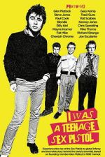 Watch I Was a Teenage Sex Pistol 9Movies