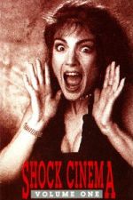 Watch Shock Cinema: Volume One 9Movies