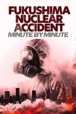 Watch Fukushima Nuclear Accident - Minute by minute 9Movies