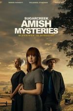 Watch Sugarcreek Amish Mysteries: Blessings in Disguise 9Movies
